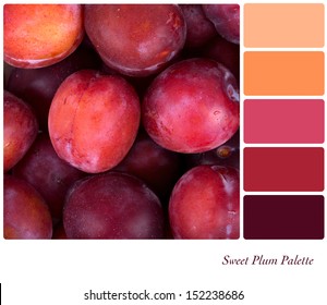 Background Fresh Red Plums Colour Palette Stock Photo 152238686 ...