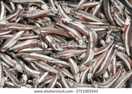 A background full frame view of fresh anchovies.