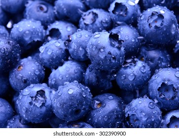 Background Full of Fresh Ripe Sweet Blueberries Covered with Water Drops. Summer Berries, Harvesting Concept