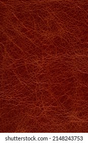 Background Genuine Leather Vintage Cognac Color