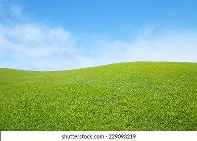 background of green field with blue sky