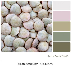 A Background Of Green Lentils. Colour Palette With Complimentary Colour Swatches