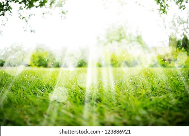 Background with Green Summer Landscape - Shutterstock ID 123886921