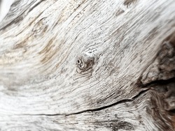 Background Of Grey Driftwood Found On Beach