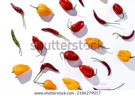 Background Habaneros peppers and hot chili peppers on colorful backgrounds from above with sunlight. Flat lay. top view