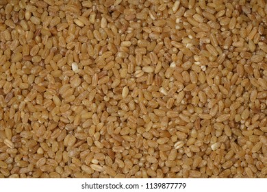 Background Of Hard Red Winter Wheat Grain