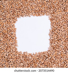 Background Of Hard Red Winter Wheat Grain.