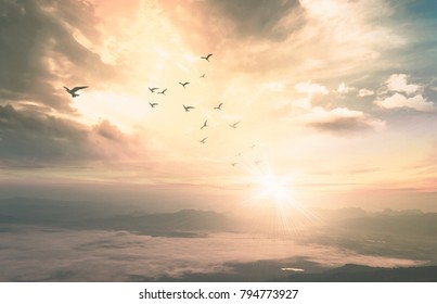 Background of heaven concept: Birds flying with mountain and sepia sky sunrise. Nok Ann cliff, Phu Kradueng National Park, Loei, Thailand, Asia - Powered by Shutterstock