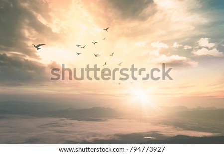 Background of heaven concept: Birds flying with mountain and sepia sky sunrise. Nok Ann cliff, Phu Kradueng National Park, Loei, Thailand, Asia