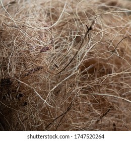 Background with hemp Natural Fibers 1