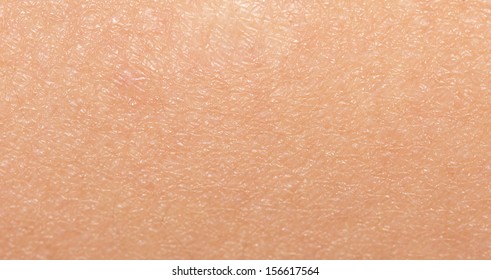 Background of the human skin. macro