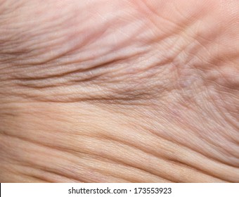 Background Of The Human Skin. Macro