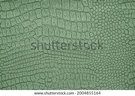 Background image - artificial textured crocodile skin green.