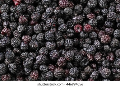 Background image from the berries of the garden and wild blackberries