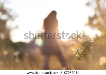 Background image of a blurred woman in a field with a wild flower in focus