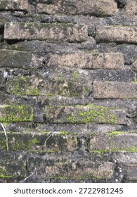 background image of brick covered with moss