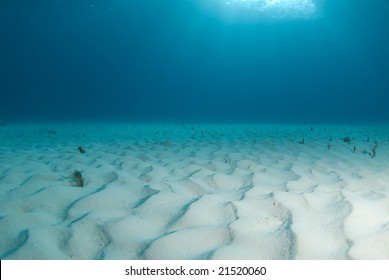 Underwater Ocean Floor Images Stock Photos Vectors Shutterstock