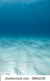 Background Image Of The Bright White Rippled Sand On The Ocean Floor At Tiger Beach In The Bahamas