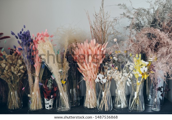 Background Image Colorful Fluffy Dried Flowers Stock Photo Edit