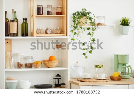 Background image of cozy kitchen interior with wooden shelves for spices and utencils decorated with plants, copy space