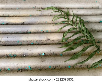 Background Image Of Fren Placed On A Dusty Floor