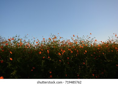 Background image for general use.