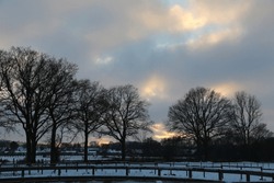 Background Image Of A Horse Farm In Winter In Northern Germany