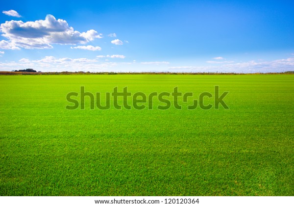 青い空の下の青々とした草原の背景画像 の写真素材 今すぐ編集