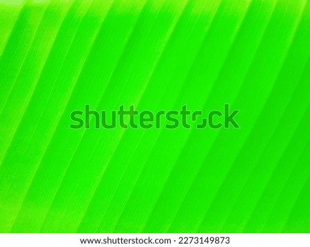 A background image made of green banana leaf images.