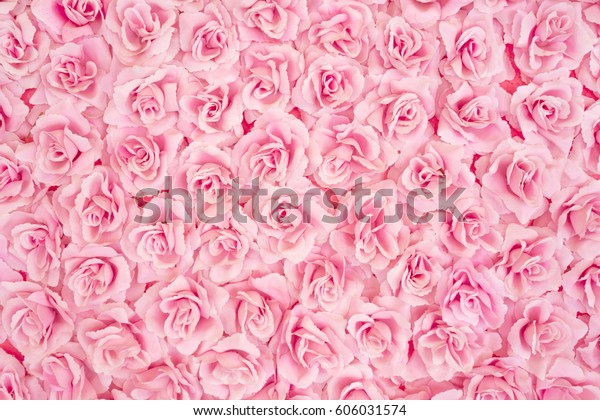 ピンクのバラの背景画像 の写真素材 今すぐ編集