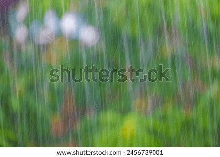 Background image of rain falling, blurred background, forest, greenery in nature.