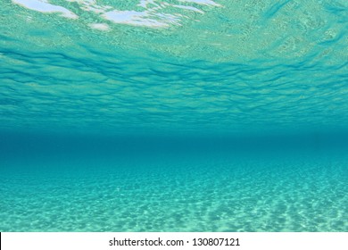 70,652 Ocean Floor Stock Photos, Images & Photography | Shutterstock