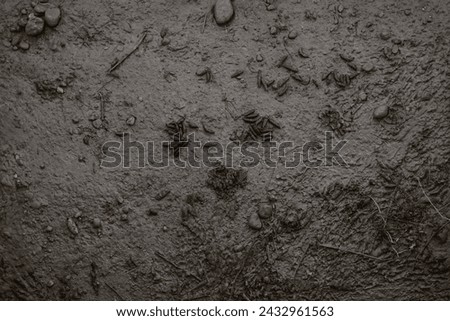 Background image texture of wet clay Nutria excrement	
             
