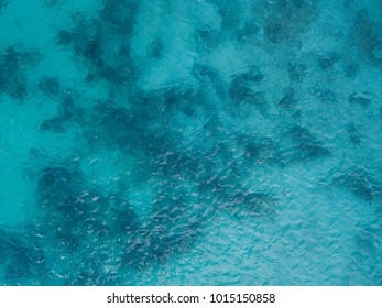 Background Image Of The Turquoise Sea. Deep Sea And Corals. Top View Of Beautiful Caribbean Sea. Aerial Drone Shot Of Turquoise Water - Space For Text. Aquamarine Background
