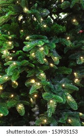 Background with the image of xmas tree