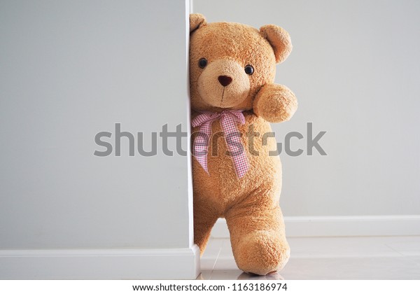 play teddy bear