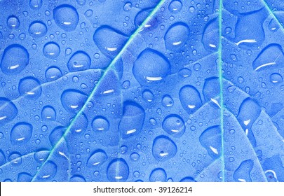 Background with leaf.