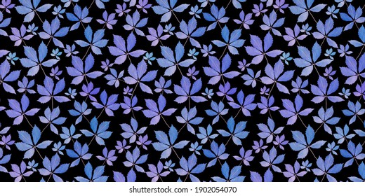 Background from leaves of wild grape. leaves pattern background. Banner. A repeating pattern. The leaves are real. 
Blue and purple leaves on a black background. 