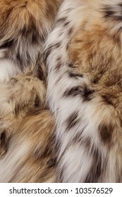 Background Of Lynx Spotted Fur. Close-up Image.