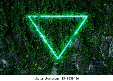 Background made of ivy leaves on stone wall with neon light triangle. Abstract nature concept. - Powered by Shutterstock