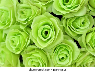 Background of many green roses