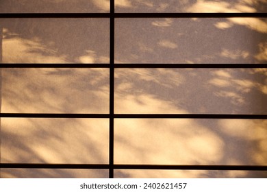 [Background material] Shadows of trees caused by the setting sun reflected on shoji screens.