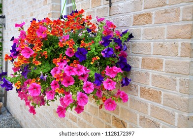 17,013 Orange hanging flower Images, Stock Photos & Vectors | Shutterstock