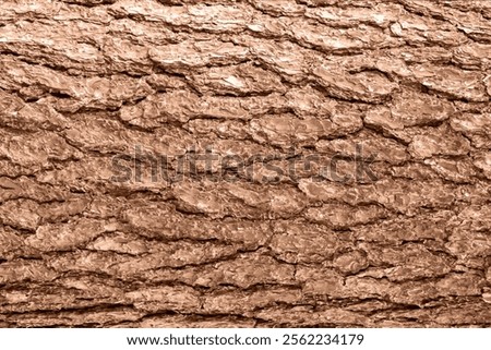 Background of Mocha mousse color of the year 2025 with earthy tree bark. Abstract brown cracked skin, grunge design wallpaper. Backdrop. Nature. Warm wood closeup.Mocha Mousse tan wooden macro pattern