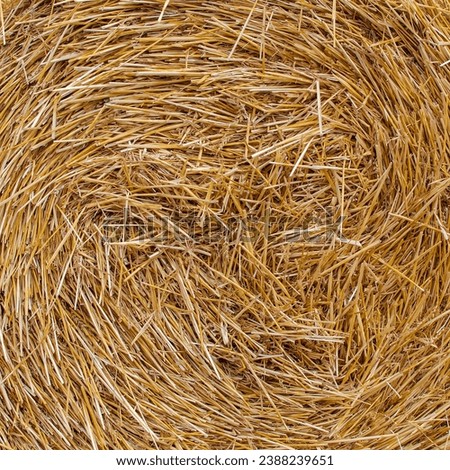 Similar – Image, Stock Photo #S# Straw spiral Nature