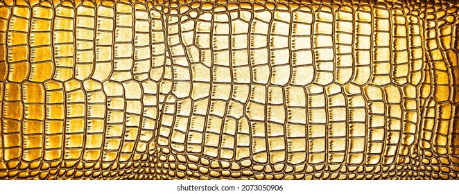 background of natural golden crocodile leather. texture of snake skin.  The texture of natural yellow crocodile leather. Abstract background .