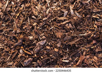 Background natural from wood recycled mulch. Close-up of wood chips from bark of tree covering ground, mulching and enriching  soil. Zero waste, natural organic farming