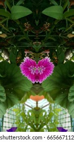 background nature