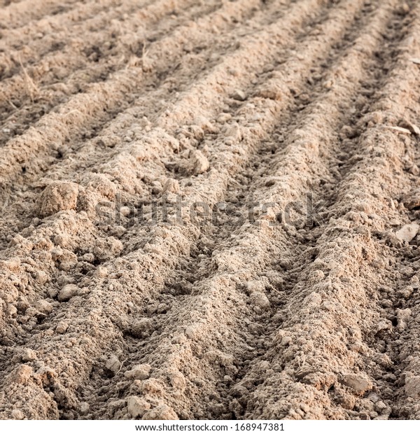 Background Newly Plowed Field Ready New Stock Photo (Edit Now) 168947381