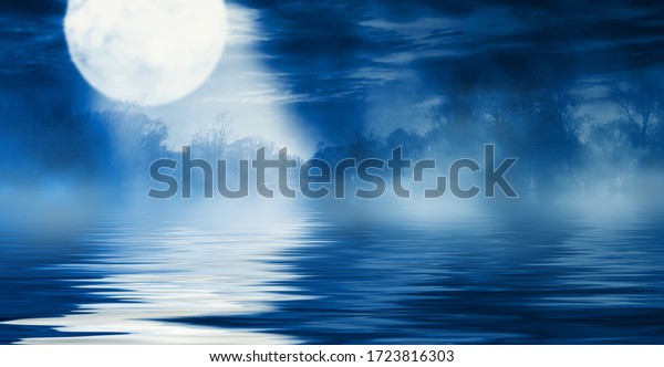 Background night landscape. The night\
sky, the full moon. Reflection of the moon on the\
water.